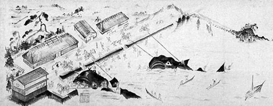 壱州豆腐なかむら、壱岐の歴史と風土